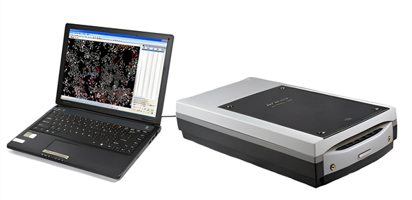 638235667864655931_1 (1).jpg